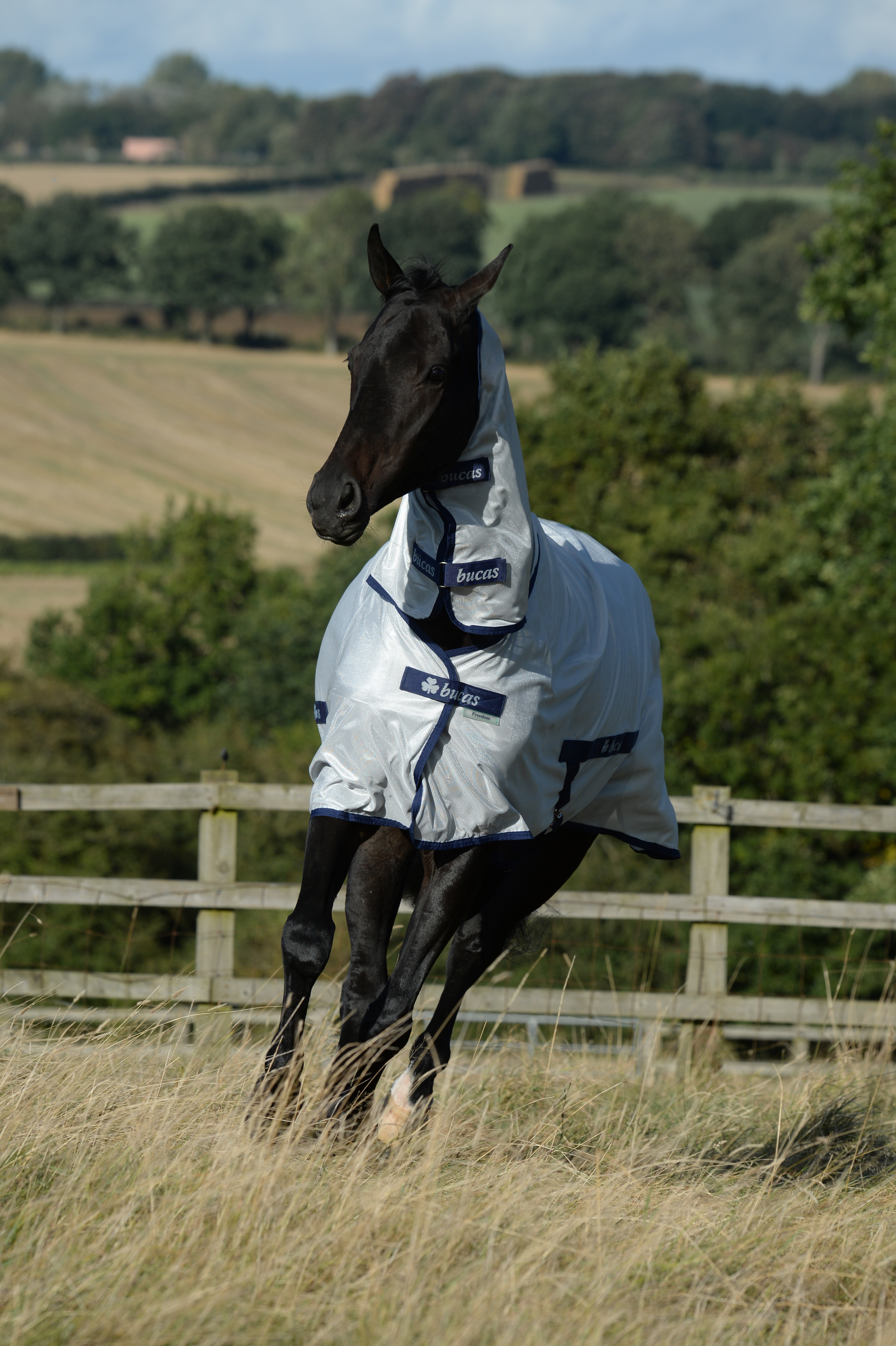 Heimer - Freedom Fly Sheet